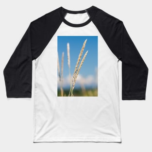 Wild Grasses at Iona Beach - Richmond Baseball T-Shirt